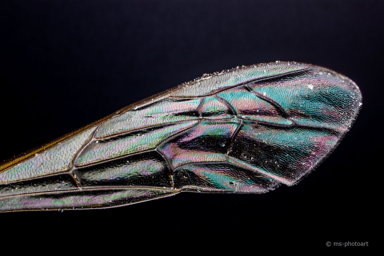 2018-09-01 21-04-42 (B,Radius8,Smoothing4).jpg