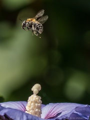 P1044471