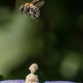 P1044471
