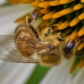 P1045784