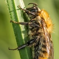 P1044810