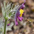 P1058011