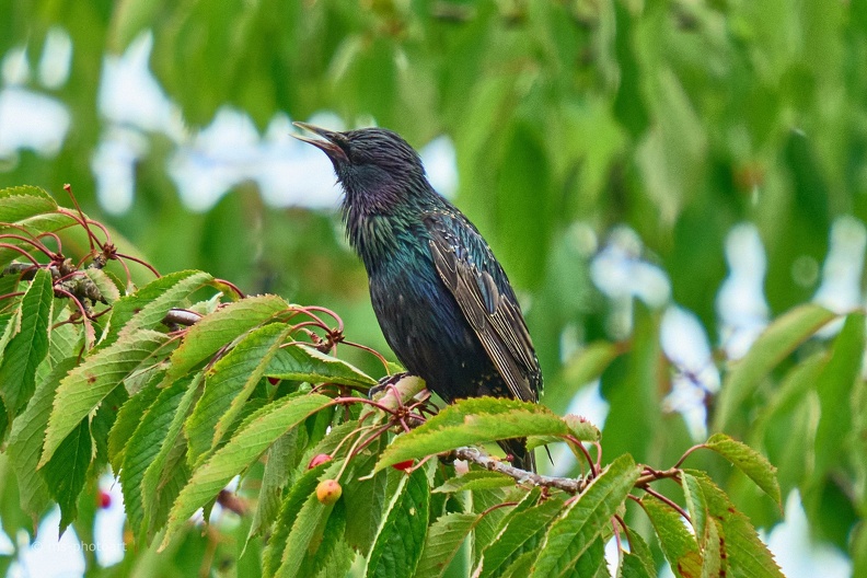 P1093028s1.jpg