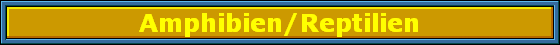 Amphibien/Reptilien