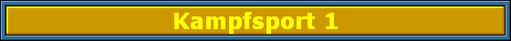 Kampfsport 1