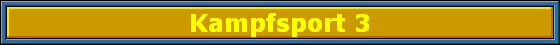 Kampfsport 3