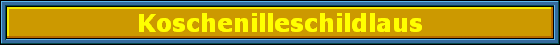 Koschenilleschildlaus